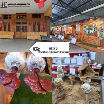 Ganofarm Leisure & Homestay - Tanjung Sepat